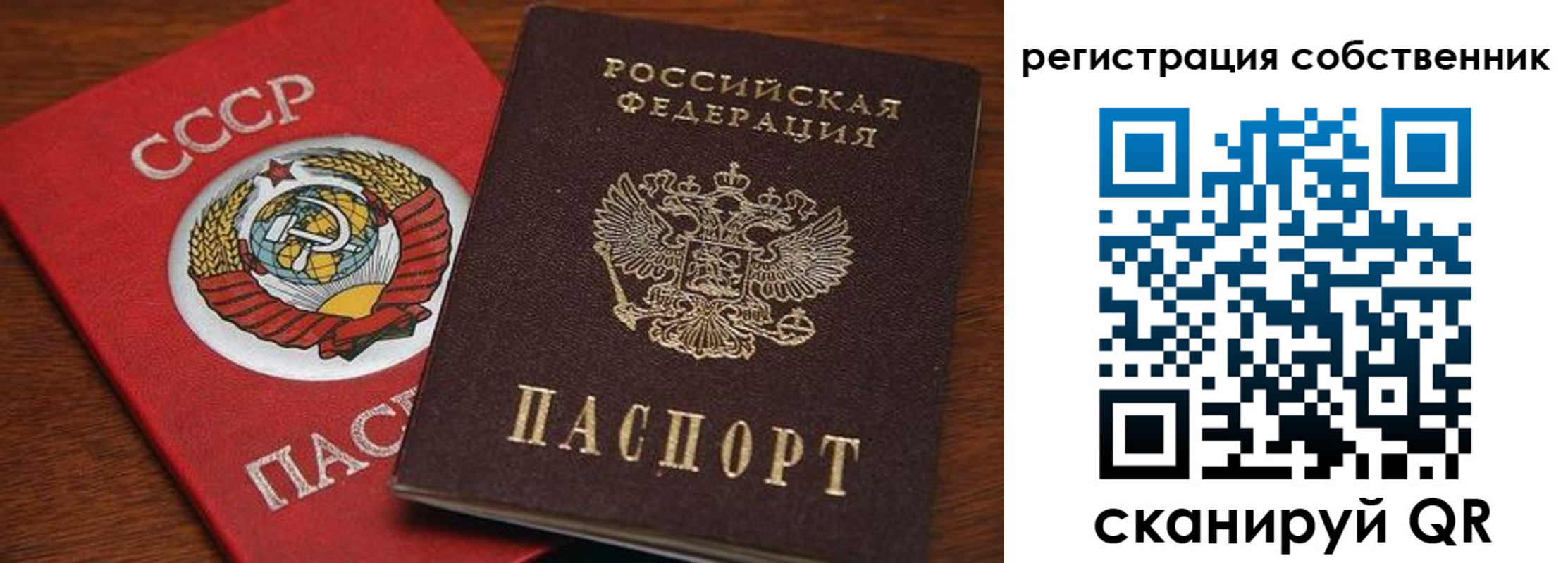временная регистрация поиск в Ельне