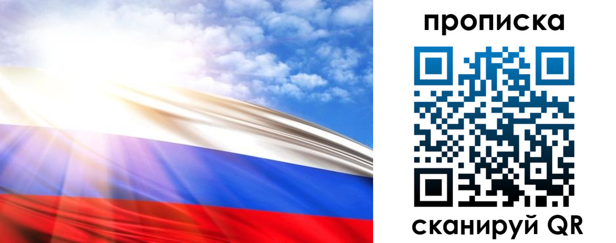 прописка в Ельне